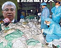 השמדה נרחבת של מטילות בעקבות התפרצות שפעת עופות H5N2 בטאיוואן