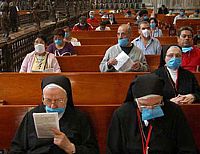 ארגון ה-OIE אין לקרוא להתפרצות השפעת במכסיקו "שפעת חזירים"