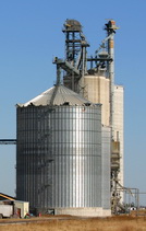 חוקי (אולי) אבל ממש, ממש... עקום