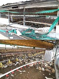 עלומים: פגיעת קסאם בלול