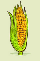 צפי למשבר בענף העופות