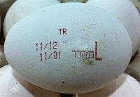 ממשיכים ליבא ביצים מטורקיה