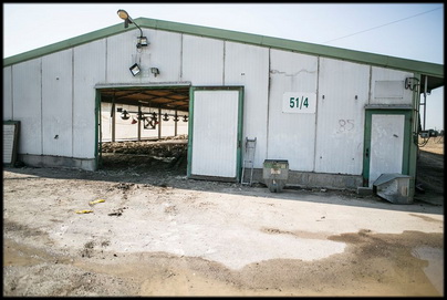 מתחם פרווץ ופתוח